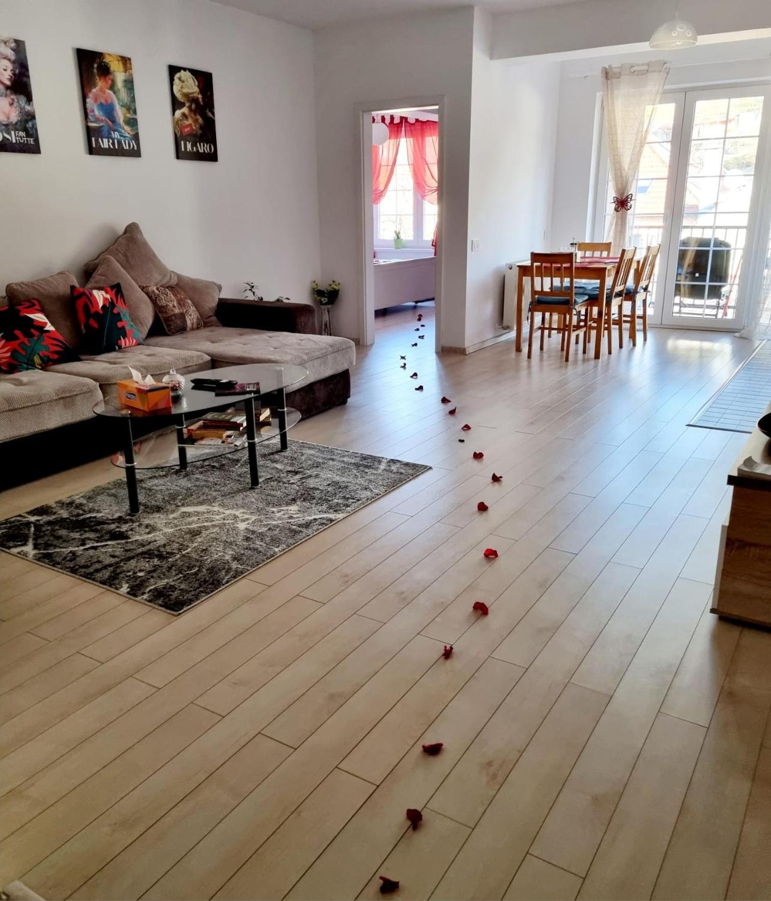 Opera Apart 2 Lägenhet Braşov Exteriör bild